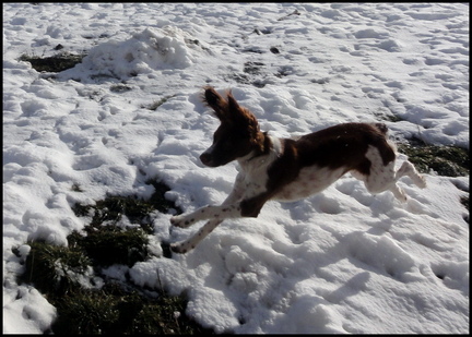 dh----09-fvrier-2014 12502060295 o