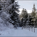 skis-hok-cirque-de-chamalires 11652737896 o