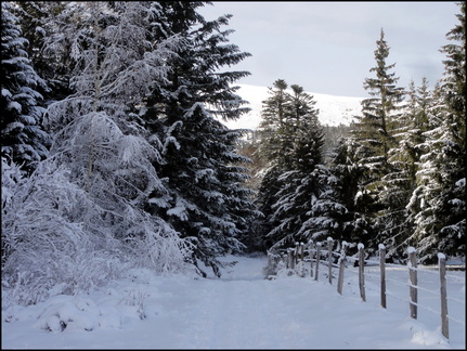 skis-hok-cirque-de-chamalires 11652737896 o