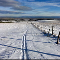 dh--les-hauts-plateaux-31-dcembre-2013 11674059323 o