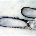 dh---24-janvier-2014 12480301805 o