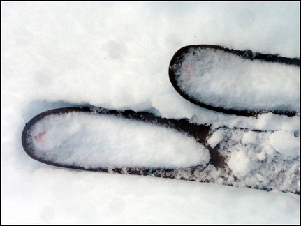 dh---24-janvier-2014 12480301805 o