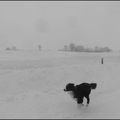 dh---fin-novembre-2013 11175401234 o