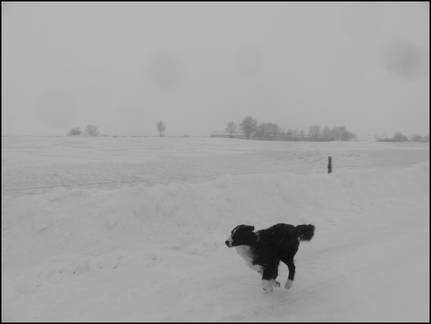 dh---fin-novembre-2013 11175401234 o