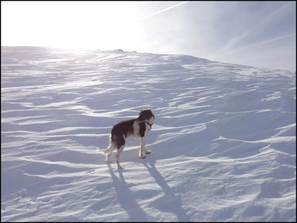 dh---avec-clment-aline-sbastien-et-iris-de-la-loupette-au-lac-glory 12927637813 o