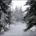 dh---avec-clment-au-bois-des-fraux 12929889275 o