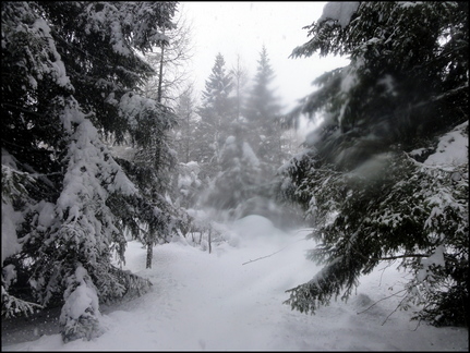 dh---avec-clment-au-bois-des-fraux 12929889275 o