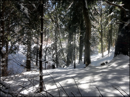 dh--iris--au-cirque-de-chamalires-6-mars-2014 12972865335 o