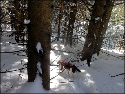 dh--iris--au-cirque-de-chamalires-6-mars-2014 12972924055 o