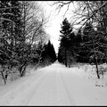 dh--ski-de-fond 8412601928 o