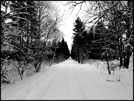 dh--ski-de-fond 8412601928 o