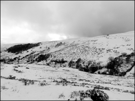 le-cirque-de-lpie 8327105256 o