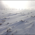 le-cirque-de-lpie 8327081810 o