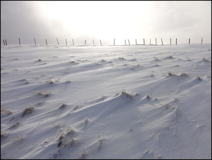 le-cirque-de-lpie 8327081810 o