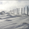 le-cirque-de-lpie 8326032607 o