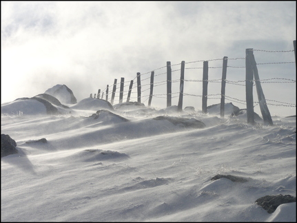 le-cirque-de-lpie 8326032607 o