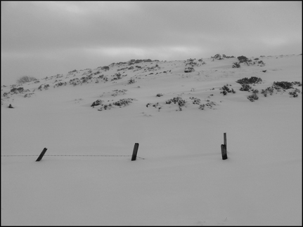 dana-hilliot-walk-until-the-end-of-the-world 8294138333 o