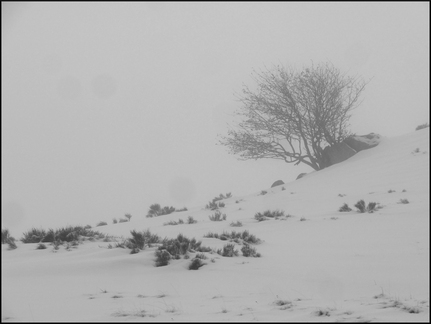 dana-hilliot-walk-until-the-end-of-the-world 8295191042 o