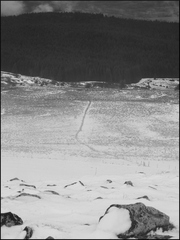 dana-hilliot-walk-until-the-end-of-the-world 8295196316 o