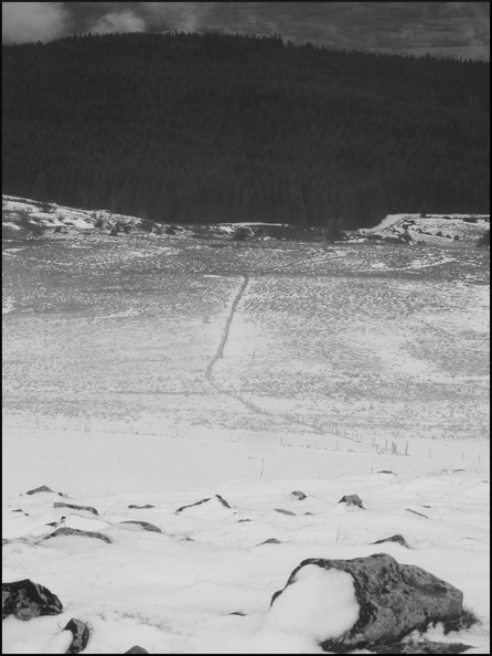 dana-hilliot-walk-until-the-end-of-the-world_8295196316_o.jpg