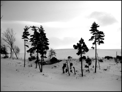 dana-hilliot---quelques-uns 4351687507 o