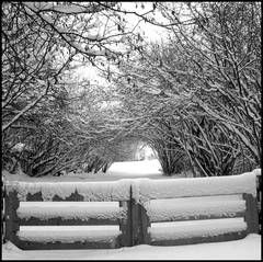 dana-hilliot---the-heaven-door 4317537964 o