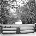 dana-hilliot---the-heaven-door 4317537964 o