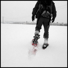 dana-hilliot---lexpdition-polaire 4259377543 o