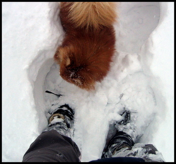 dana-hilliot---lexpdition-polaire-en-face-de-chez-moi 4260915142 o