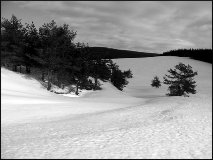 dana-hilliot---toujours--la-recherche-de 3335843800 o