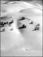 dana-hilliot---fond-de-valle-glaciaire 3376492106 o