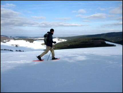 dana-hilliot---toujours--la-recherche-de 3335845506 o