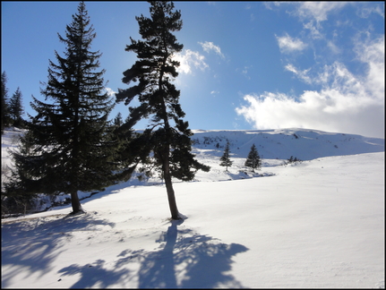 dh---en-montant-sur-prat-de-bouc 8425149706 o