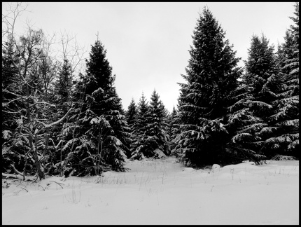 dh--ski-de-fond 8411505813 o