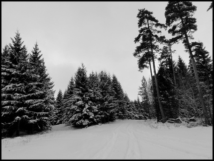 dh--ski-de-fond 8411504403 o