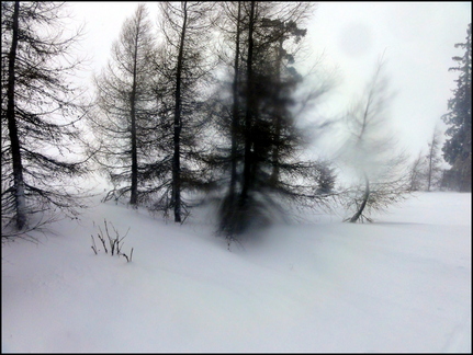 dh---avec-clment-au-bois-des-fraux 12929866253 o