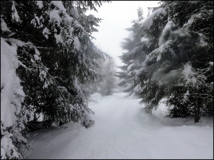 dh---avec-clment-au-bois-des-fraux 12930015674 o