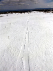 dh---home 13483118275 o