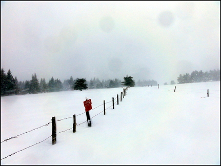 dh---avec-clment-au-bois-des-fraux 12930518903 o