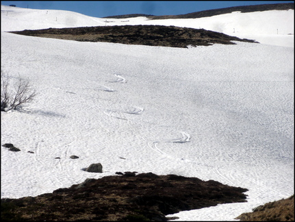 dh--encore-un-peu-de-neige-je-grimpe-l-haut- 13829608704 o