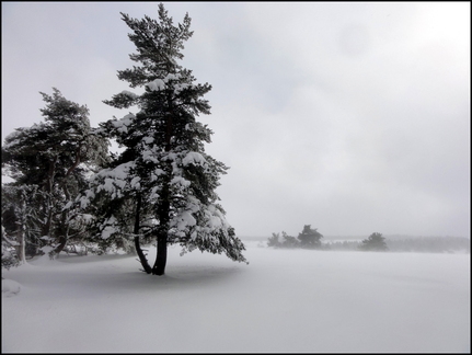 dh---avec-clment-au-bois-des-fraux 12928958125 o