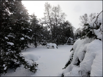 dh---avec-clment-au-bois-des-fraux 12929281074 o