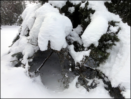 dh---avec-clment-au-bois-des-fraux 12928856253 o