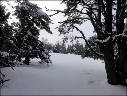 dh---avec-clment-au-bois-des-fraux 12929068674 o