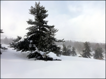 dh---avec-clment-au-bois-des-fraux 12928675083 o