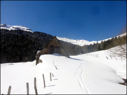 dh--iris--au-cirque-de-chamalires-6-mars-2014 12973700044 o