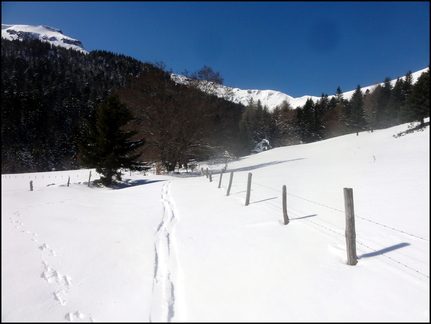 dh--iris--au-cirque-de-chamalires-6-mars-2014 12973201135 o