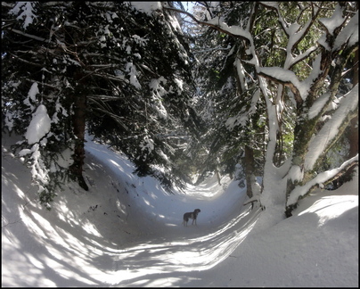 dh--iris--au-cirque-de-chamalires-6-mars-2014 12973283503 o