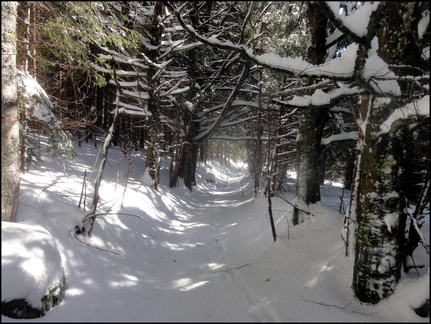 dh--iris--au-cirque-de-chamalires-6-mars-2014 12973093765 o