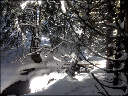 dh--iris--au-cirque-de-chamalires-6-mars-2014 12972979825 o